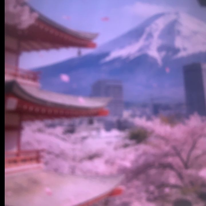 Nakajima.Haru.