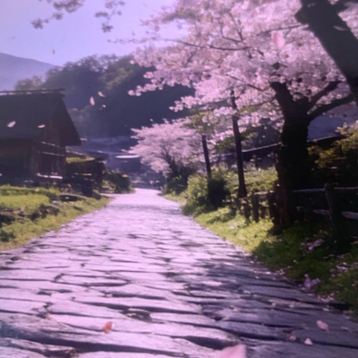 Saotome.Maki.