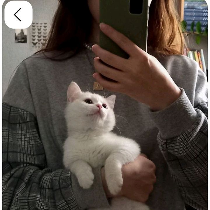 ♡ₜᵢₖyCₐᵣₜ♡