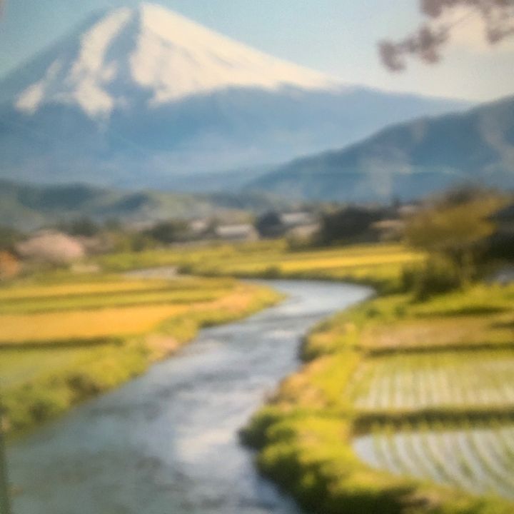 Sato.Haruki.