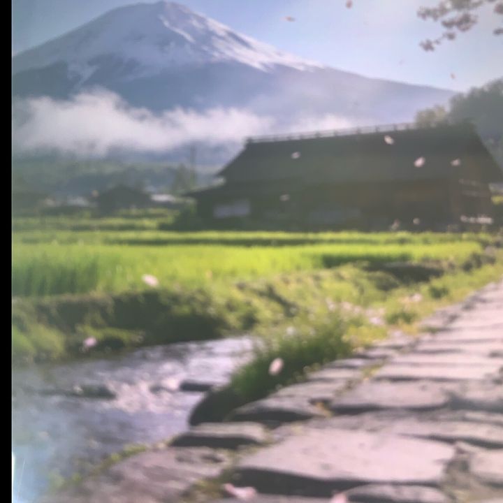 Tanaka.Yume.