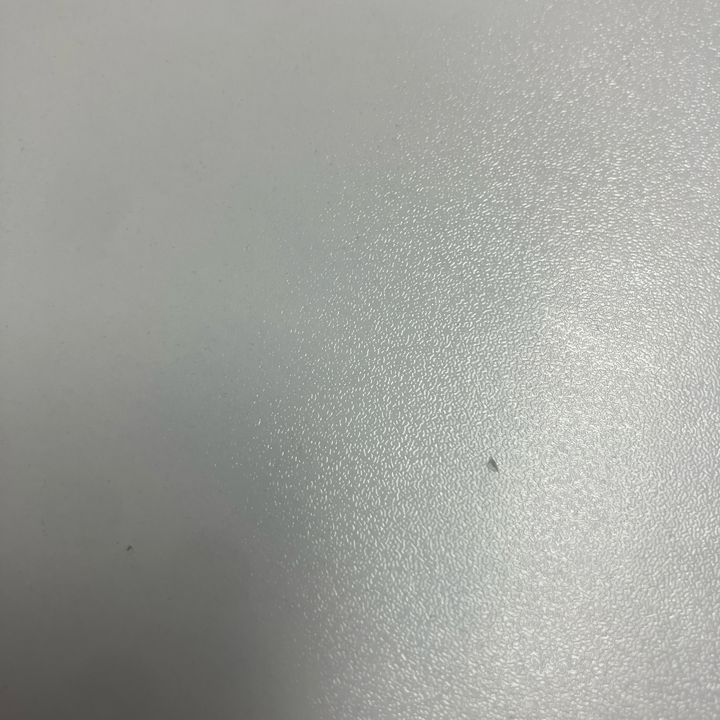 bb