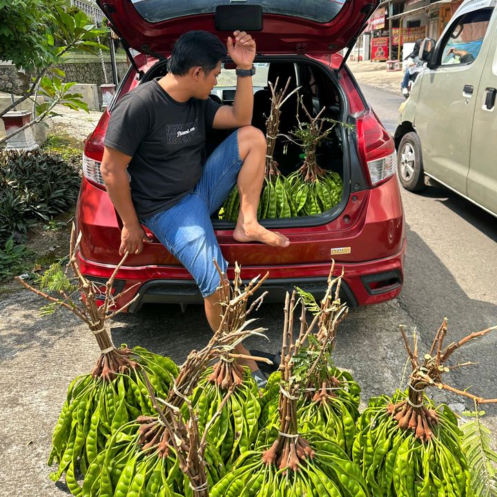 SENTRA PETE INDONESIA