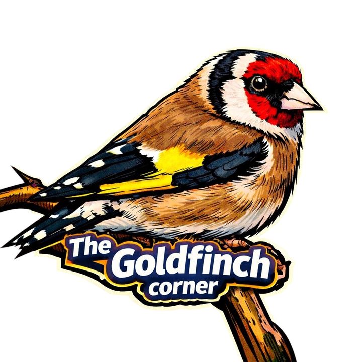 goldfinchttshop