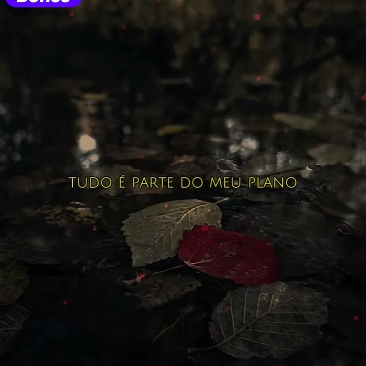 user8016887360346