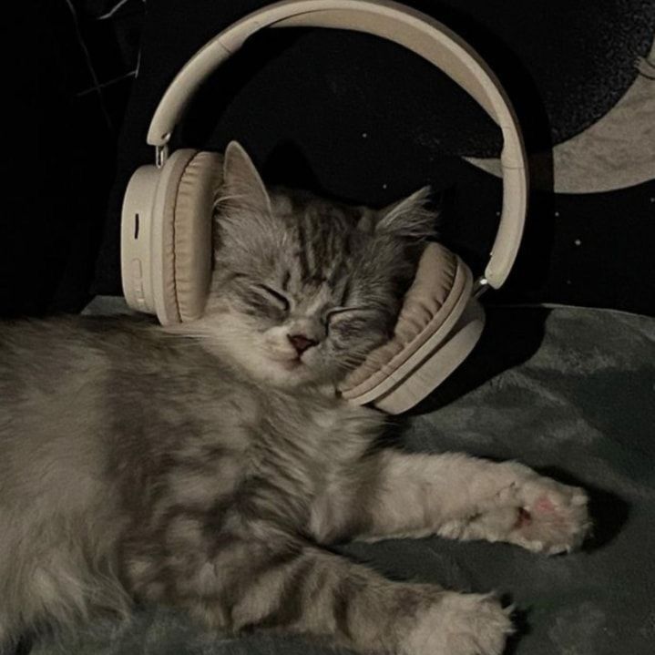 sweetestdreamsasmr