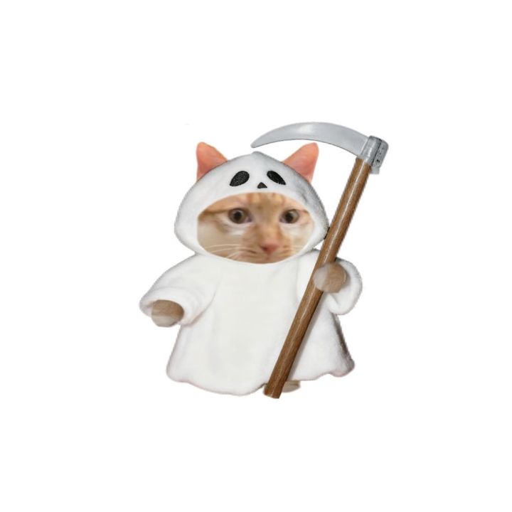 TheoFisher
