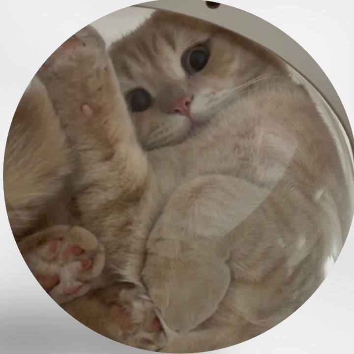 🐈