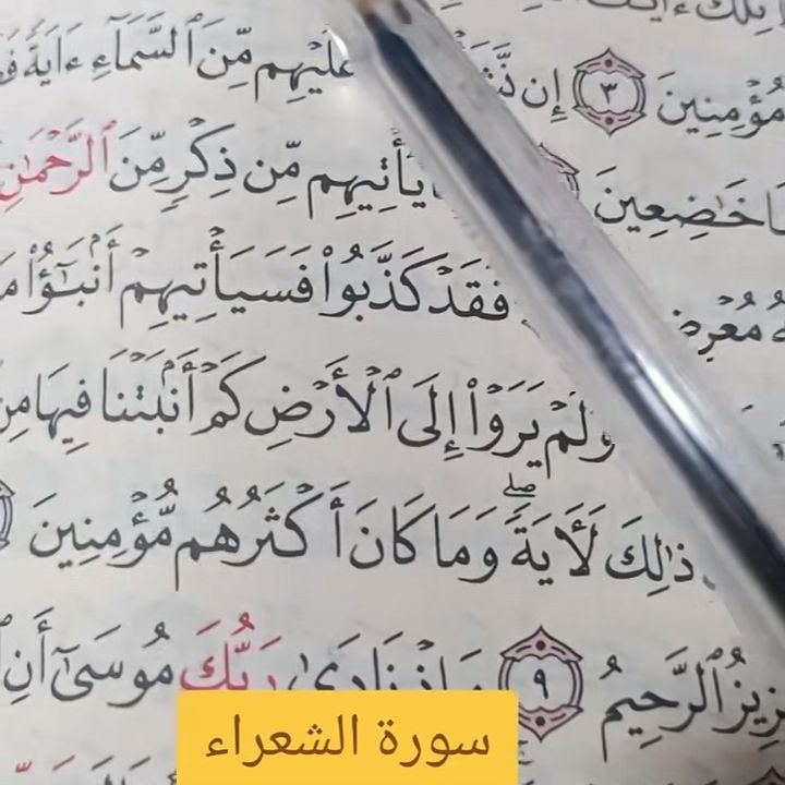 user1090698781424