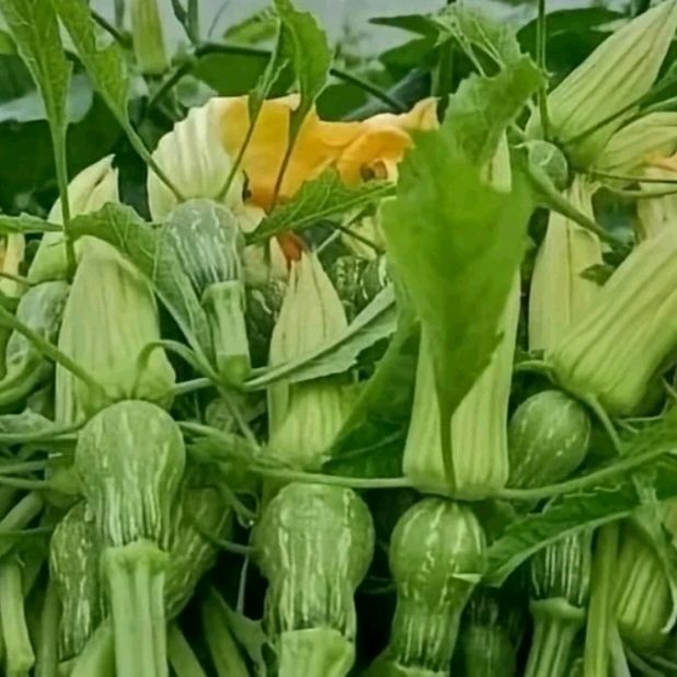Tạp Hoá Giá Rẻ