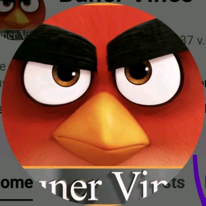 Vines Vines