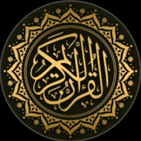 Ezz El-Din Mohamed