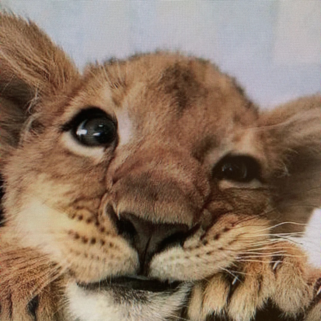 guerrerorandall8765