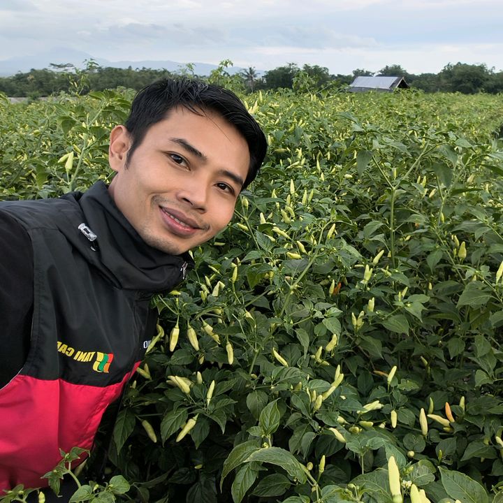 Mas Wahid