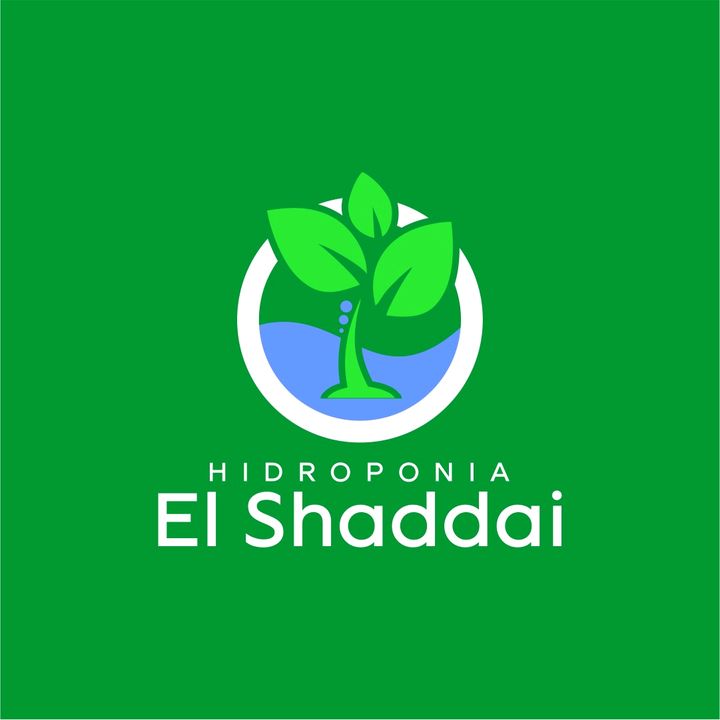 George Barcelos | Hidroponia