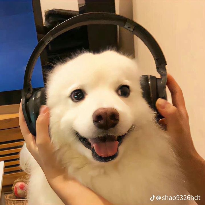 zjqszjr4
