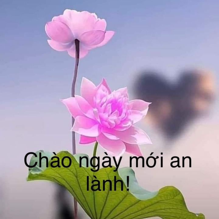 Ngọc-Nhân viên hỗ trợ vay app