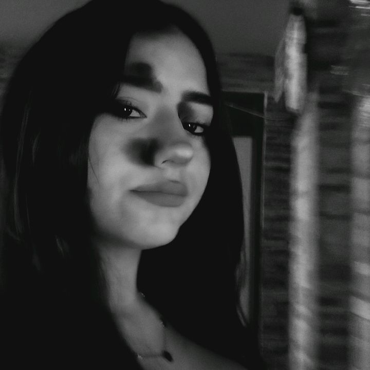 Villarello🐷
