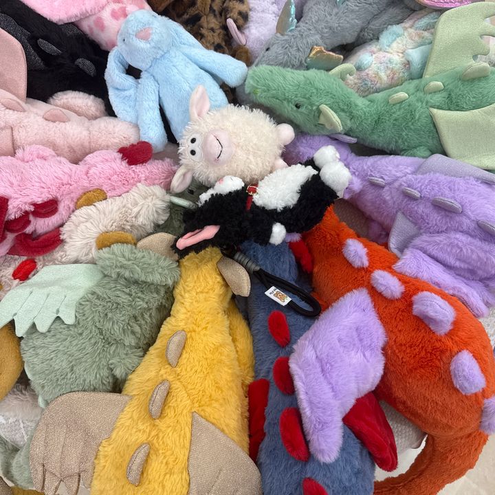 Wen’s fun store