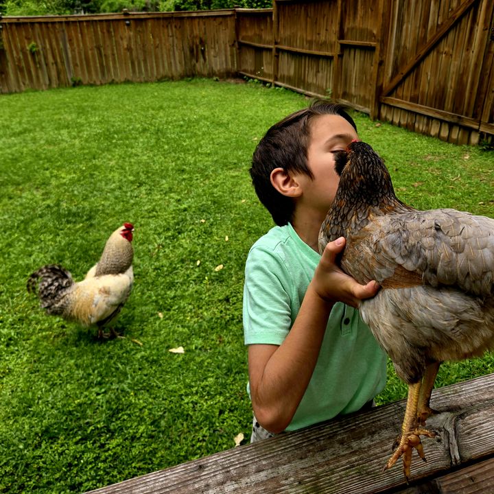 twochickens&aboy
