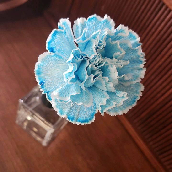 フォロバしていく整体師