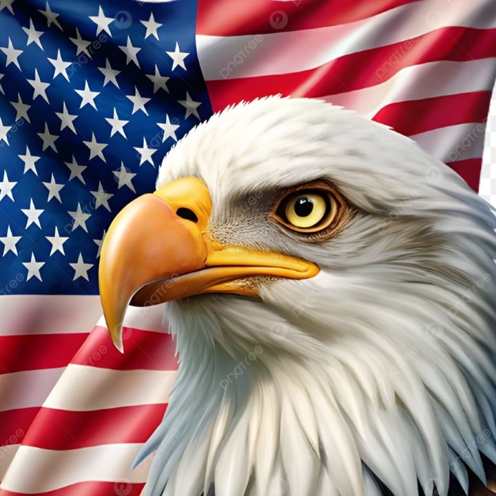 🇺🇸USA 🇺🇸 FUNNY CLIPS 😂