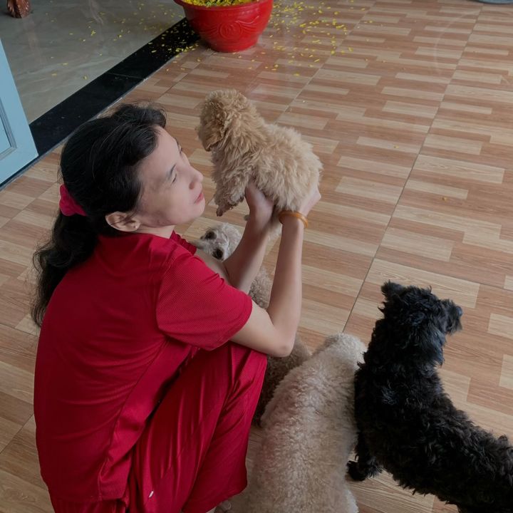 Mẹ Quê Lên Mạng