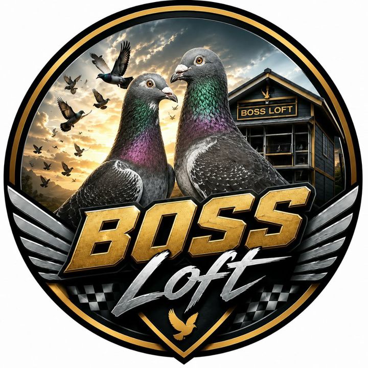 Boss Loft👑