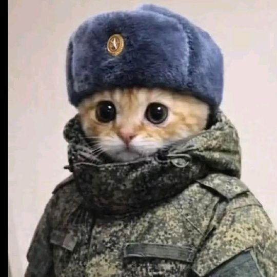 Толя !Ф❤️С! Оля! Б! Пара!