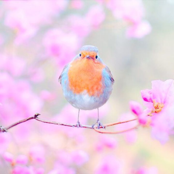 Es❣️