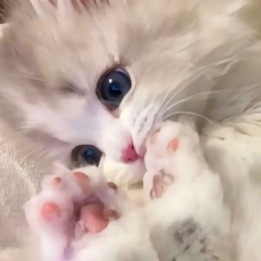 ゆにゃ