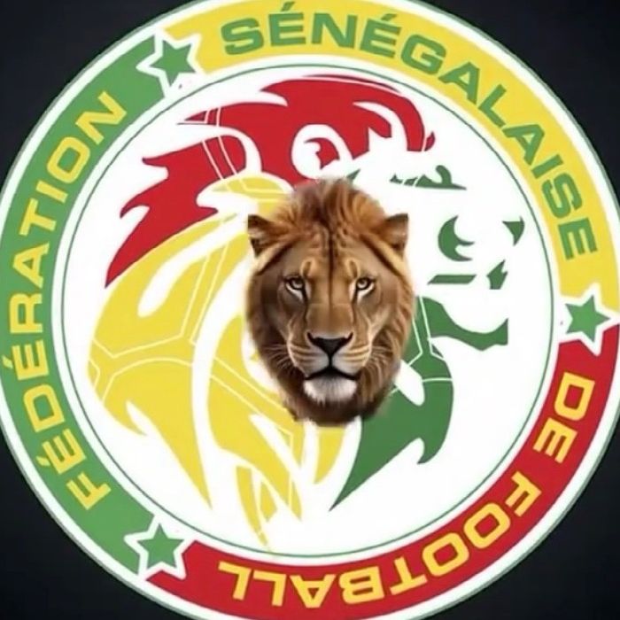 S.M de valeur 🇸🇳 🇬🇲 🇫🇷