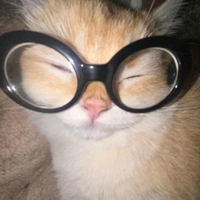 そよ風