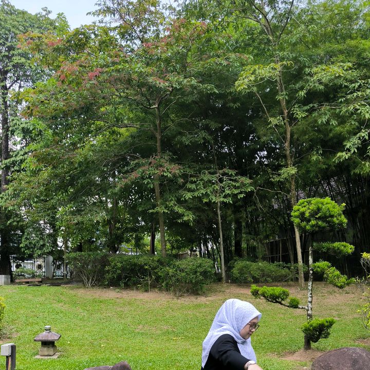 mommy lutfi