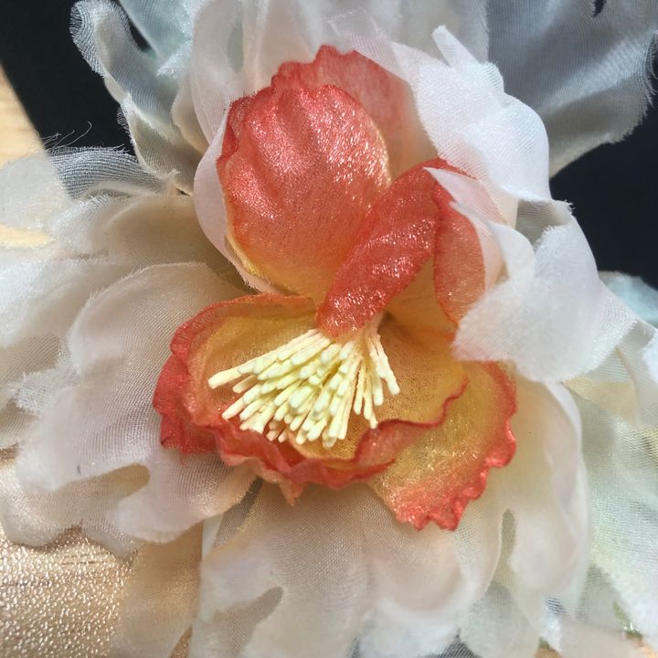 wadesandra49275vvw