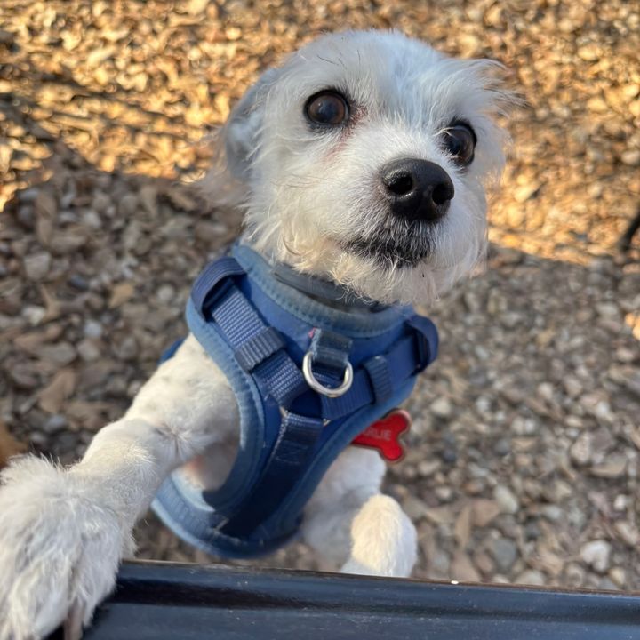 Charlie
