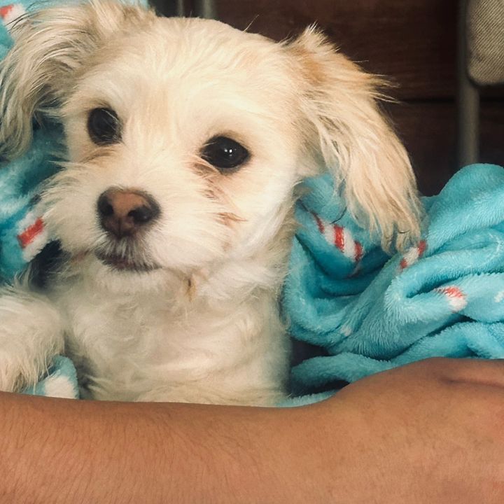 Coco💕🥥