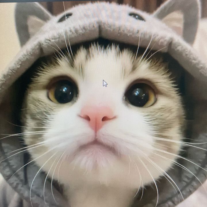 kkyz78