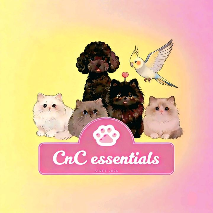 CnC Essentials