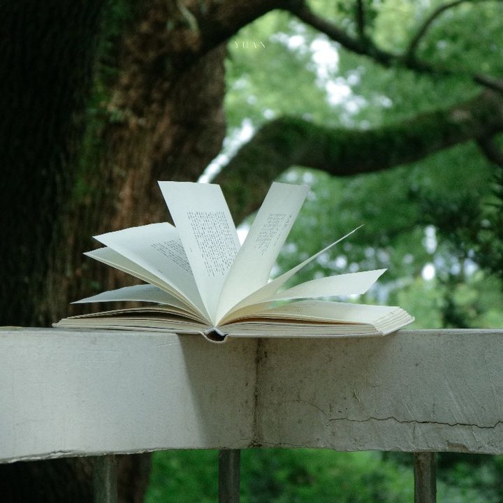 YS-Books