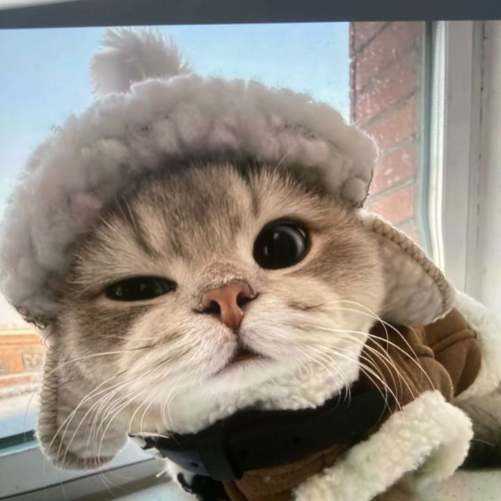 ruwispl