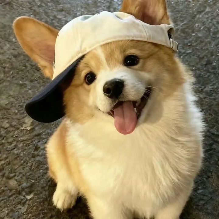 Dustin