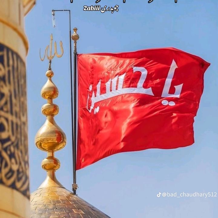 ❣️Ali mola ❣️