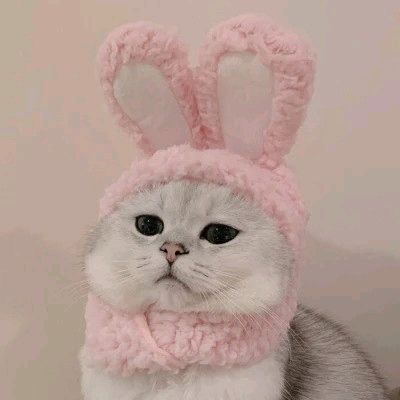 user5580019965603