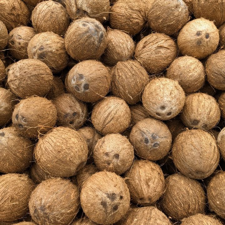 Coconut.Checkout