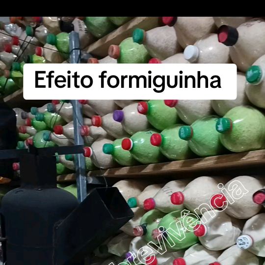Saylar Sobrevivência