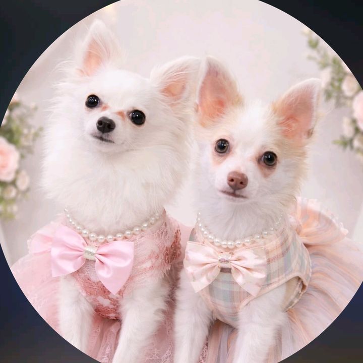 Phoebe & Bubbles