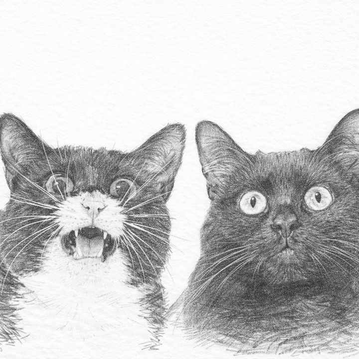 Agatha & Phoebe