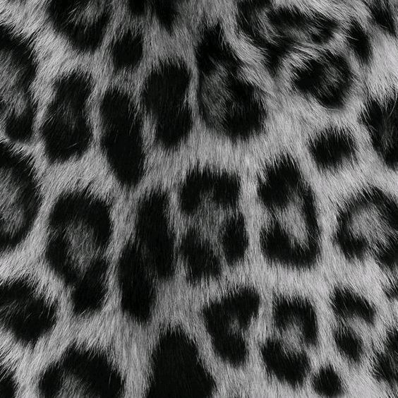 🍸🪩🐆