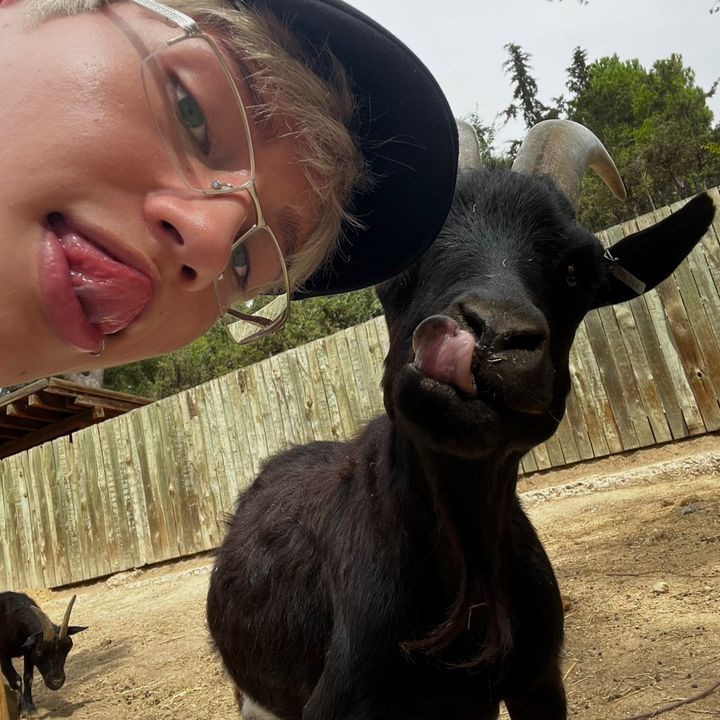 Cheese